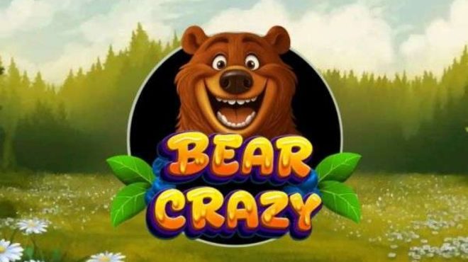 Bear Crazy
