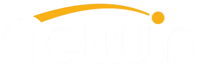 Netwin logo transparent
