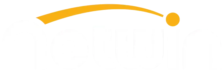 Netwin logo transparent