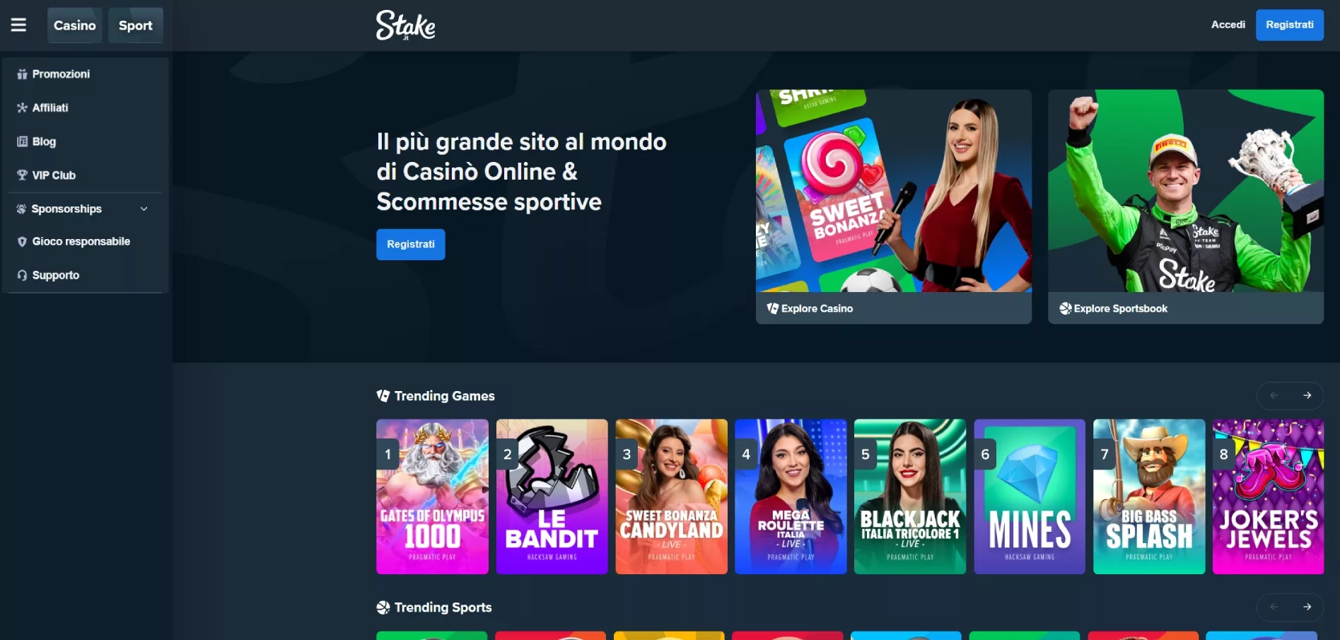 Stake Casino Interface